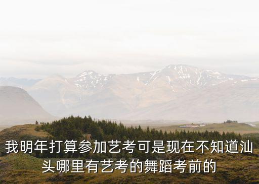 拉丁舞艺考培训学校沙田，我儿子是学拉丁舞的今年就要联考了想找个正规舞蹈艺考学校