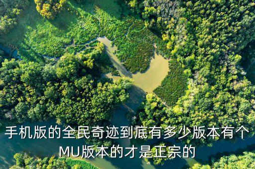 手机版的全民奇迹到底有多少版本有个MU版本的才是正宗的