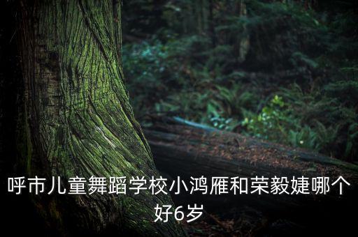 呼市儿童舞蹈学校小鸿雁和荣毅婕哪个好6岁
