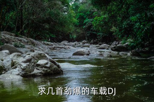 求几首劲爆的车载DJ
