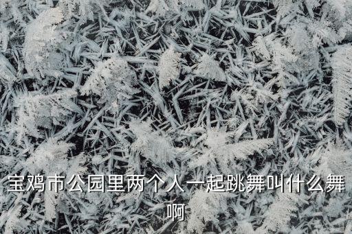 宝鸡市公园里两个人一起跳舞叫什么舞啊