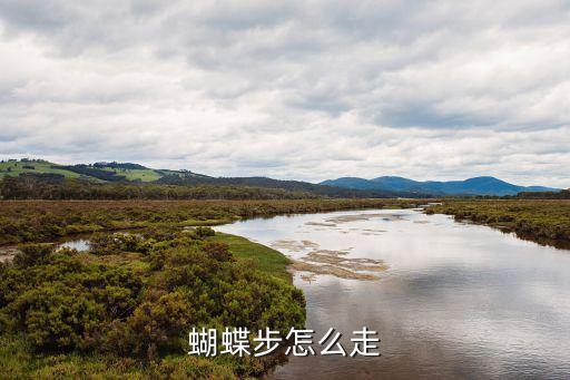 蝴蝶步怎么走