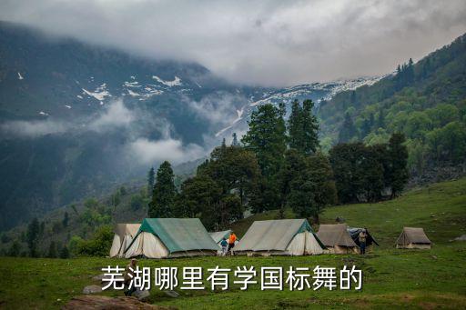 芜湖哪里有学国标舞的