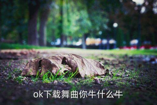 ok下载舞曲你牛什么牛