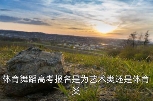 体育舞蹈是什么类，体育舞蹈属于艺术类还是体育类我得报考了不知道报
