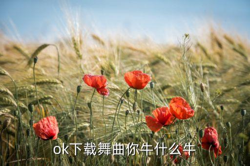 ok下载舞曲你牛什么牛