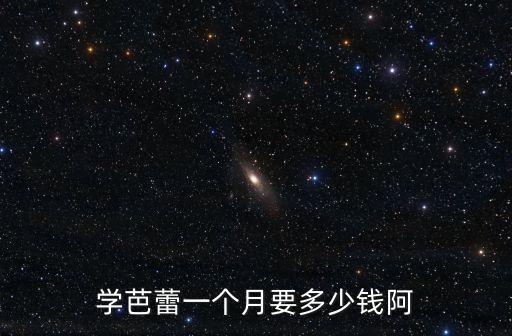 学芭蕾一个月要多少钱阿