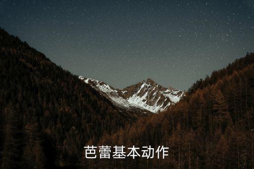 芭蕾基本动作