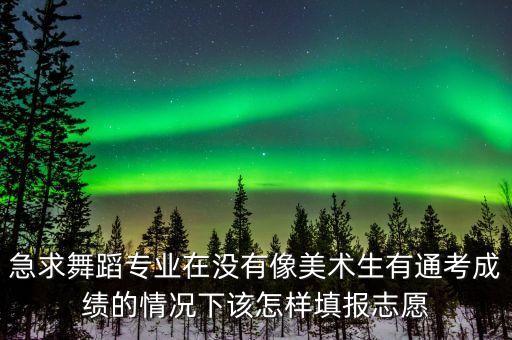 急求舞蹈专业在没有像美术生有通考成绩的情况下该怎样填报志愿