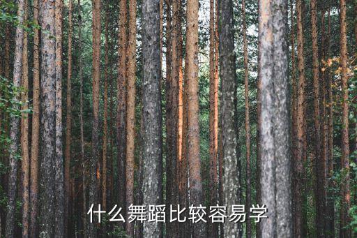 什么舞蹈比较容易学