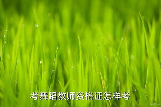 考舞蹈教师资格证怎样考