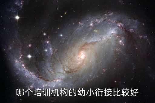 哪个培训机构的幼小衔接比较好