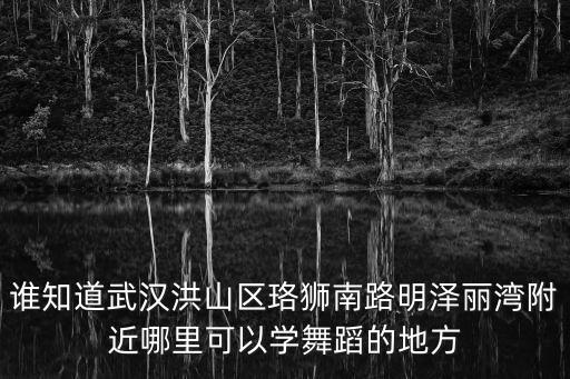谁知道武汉洪山区珞狮南路明泽丽湾附近哪里可以学舞蹈的地方