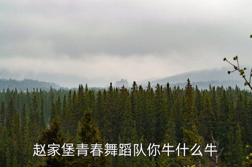 赵家堡青春舞蹈队你牛什么牛