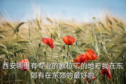 西安哪里有专业的教拉丁的地方我在东郊有在东郊的最好啦
