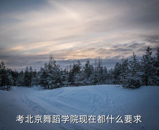 考北舞有什么要求，考进北京舞蹈学院需要什么条件