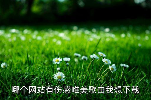 哪个网站有伤感唯美歌曲我想下载
