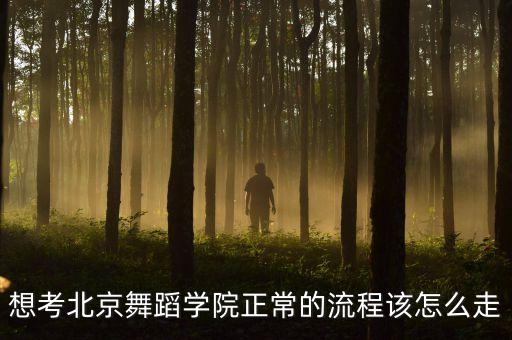 如何考上北京舞蹈学院，想考北京舞蹈学院正常的流程该怎么走