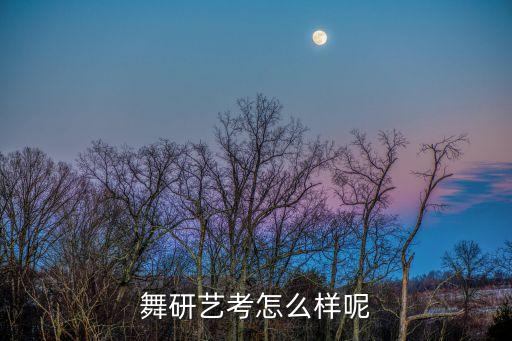 舞研艺考山东校区，2011年 舞蹈艺术类招生有哪些院校在山东设考点