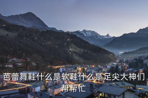 芭蕾舞鞋什么是软鞋什么是足尖大神们帮帮忙