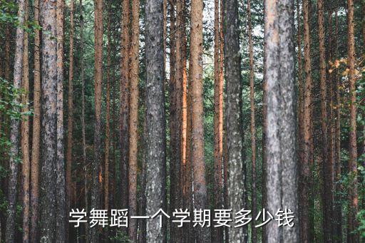 学舞蹈一个学期要多少钱