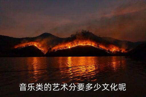 音乐艺考2023文化分要求多少，音乐类的艺术分要多少文化呢