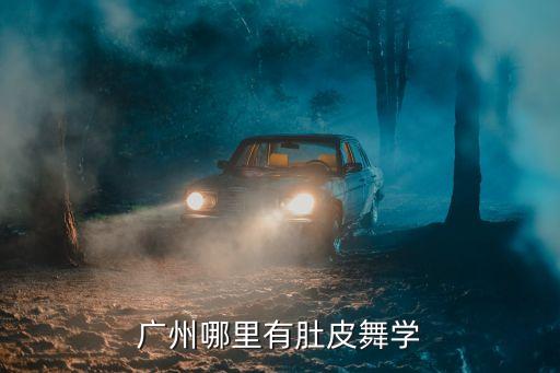 广州哪里有肚皮舞学
