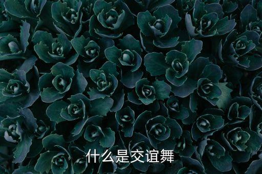什么是交谊舞