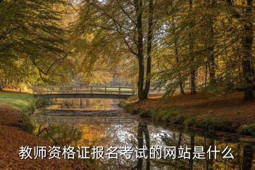 教师资格证报名考试的网站是什么