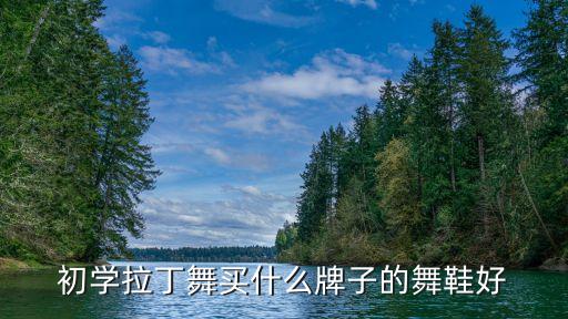 初学拉丁舞买什么牌子的舞鞋好