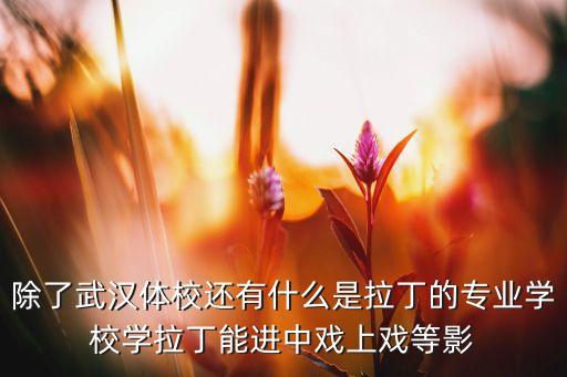 除了武汉体校还有什么是拉丁的专业学校学拉丁能进中戏上戏等影