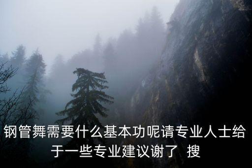 钢管舞需要练哪些力量，钢管舞需要什么基本功呢请专业人士给于一些专业建议谢了  搜