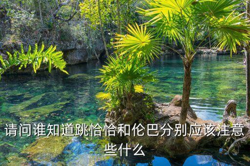 请问谁知道跳恰恰和伦巴分别应该注意些什么