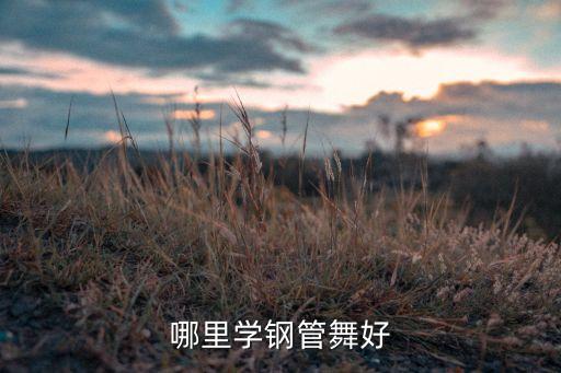 哪里学钢管舞好
