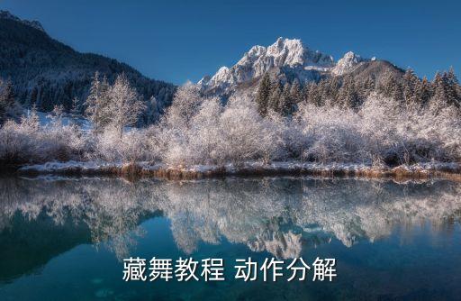 藏舞教程 动作分解
