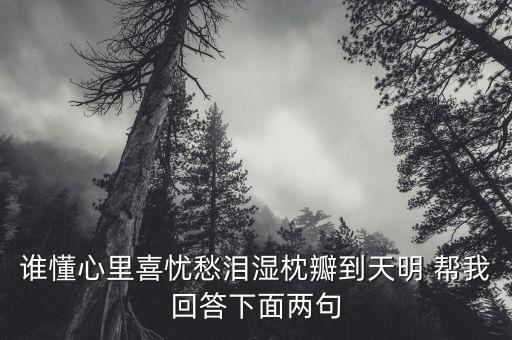 谁懂心里喜忧愁泪湿枕瓣到天明 帮我回答下面两句