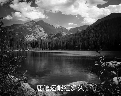 鹿晗还能红多久