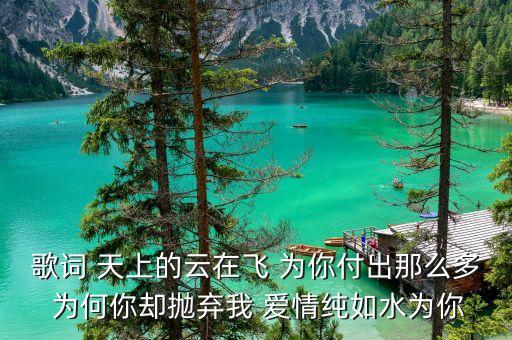 歌词 天上的云在飞 为你付出那么多 为何你却抛弃我 爱情纯如水为你