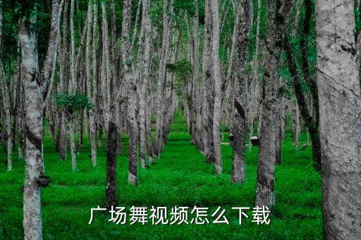 广场舞视频怎么下载