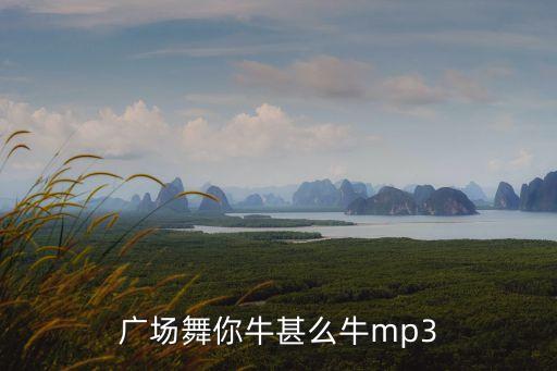 广场舞你牛甚么牛mp3