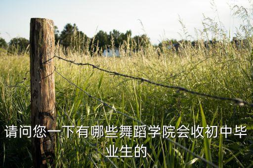 请问您一下有哪些舞蹈学院会收初中毕业生的
