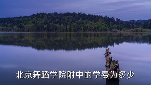 北京舞蹈学院附中的学费为多少