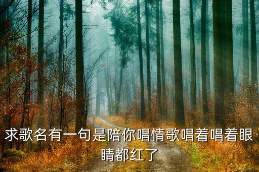 求歌名有一句是陪你唱情歌唱着唱着眼睛都红了