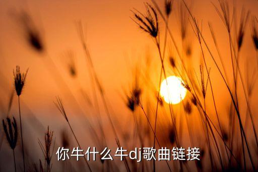 你牛什么牛dj歌曲链接