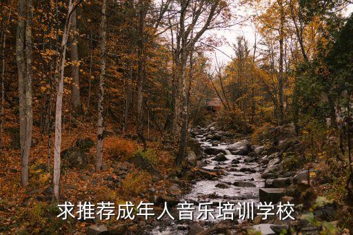求推荐成年人音乐培训学校
