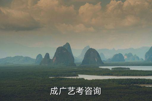 成广艺考咨询