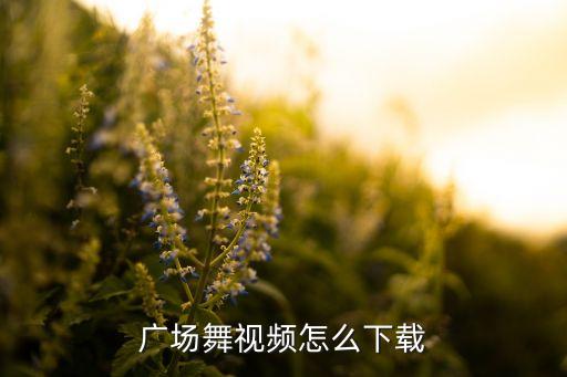 广场舞视频怎么下载