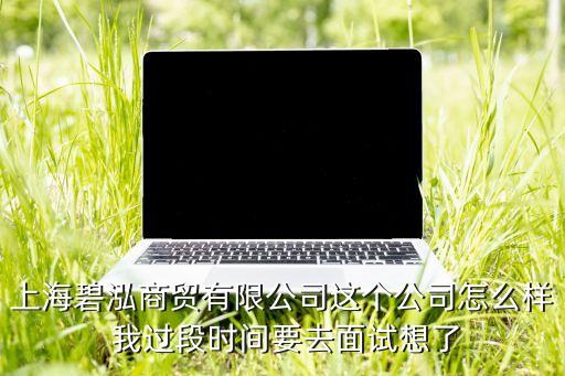 上海碧泓商贸有限公司这个公司怎么样 我过段时间要去面试想了