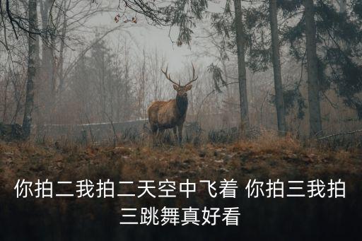 你拍二我拍二天空中飞着 你拍三我拍三跳舞真好看