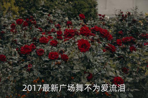 2017最新广场舞不为爱流泪